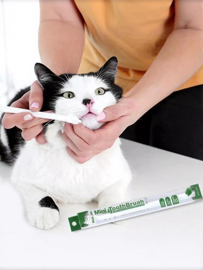 e169aee8-ff7a-46e4-a545-b800061aeeaf-Max-Origin