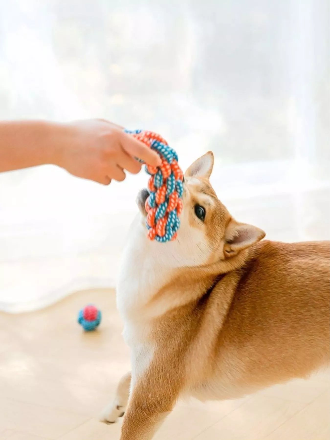 e4f45997-413f-4e90-8315-64d3bc5d952d-Max-Origin