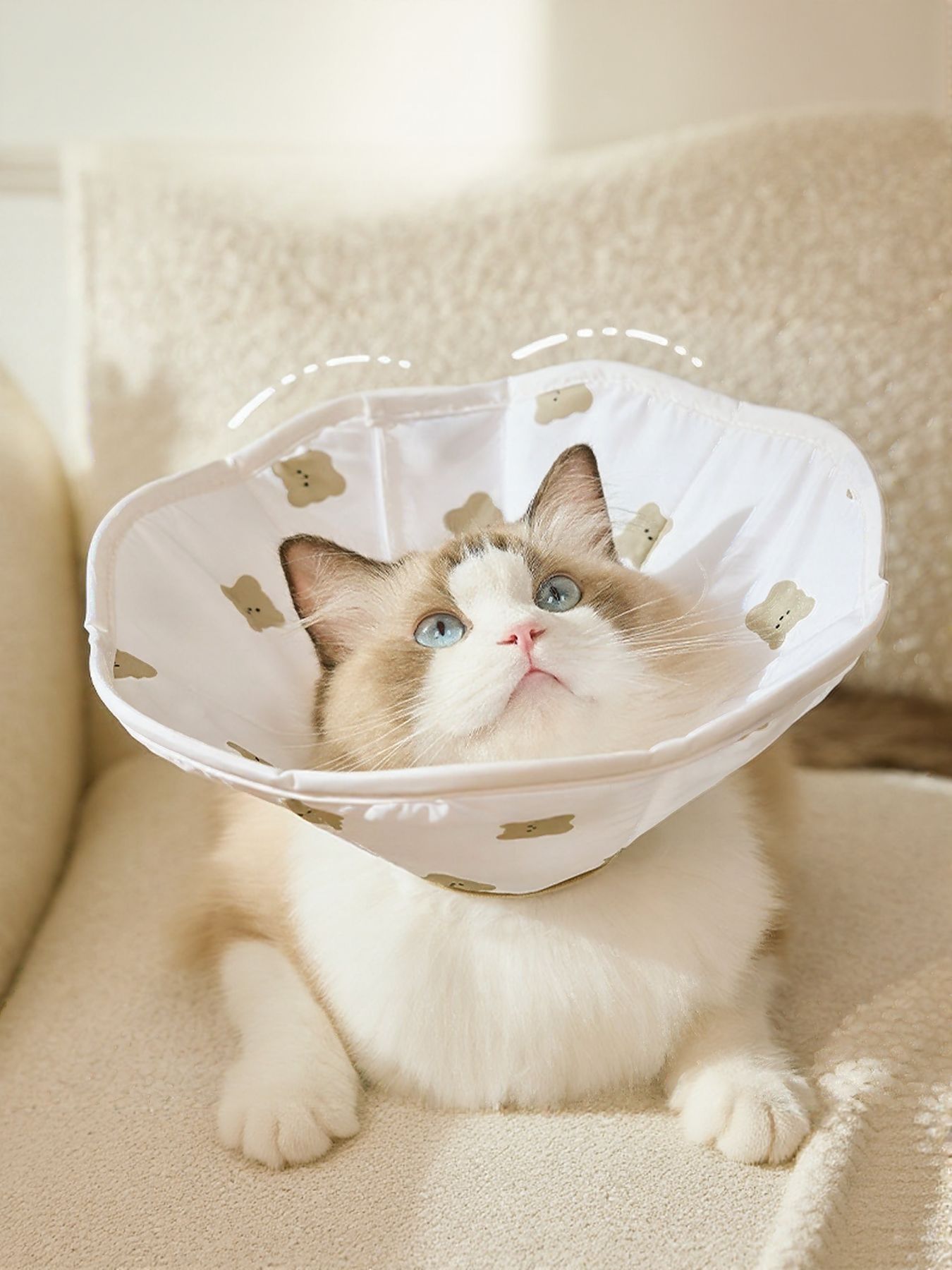 e6f2deb4-717d-4ff7-b63e-15970d02f24d-Max