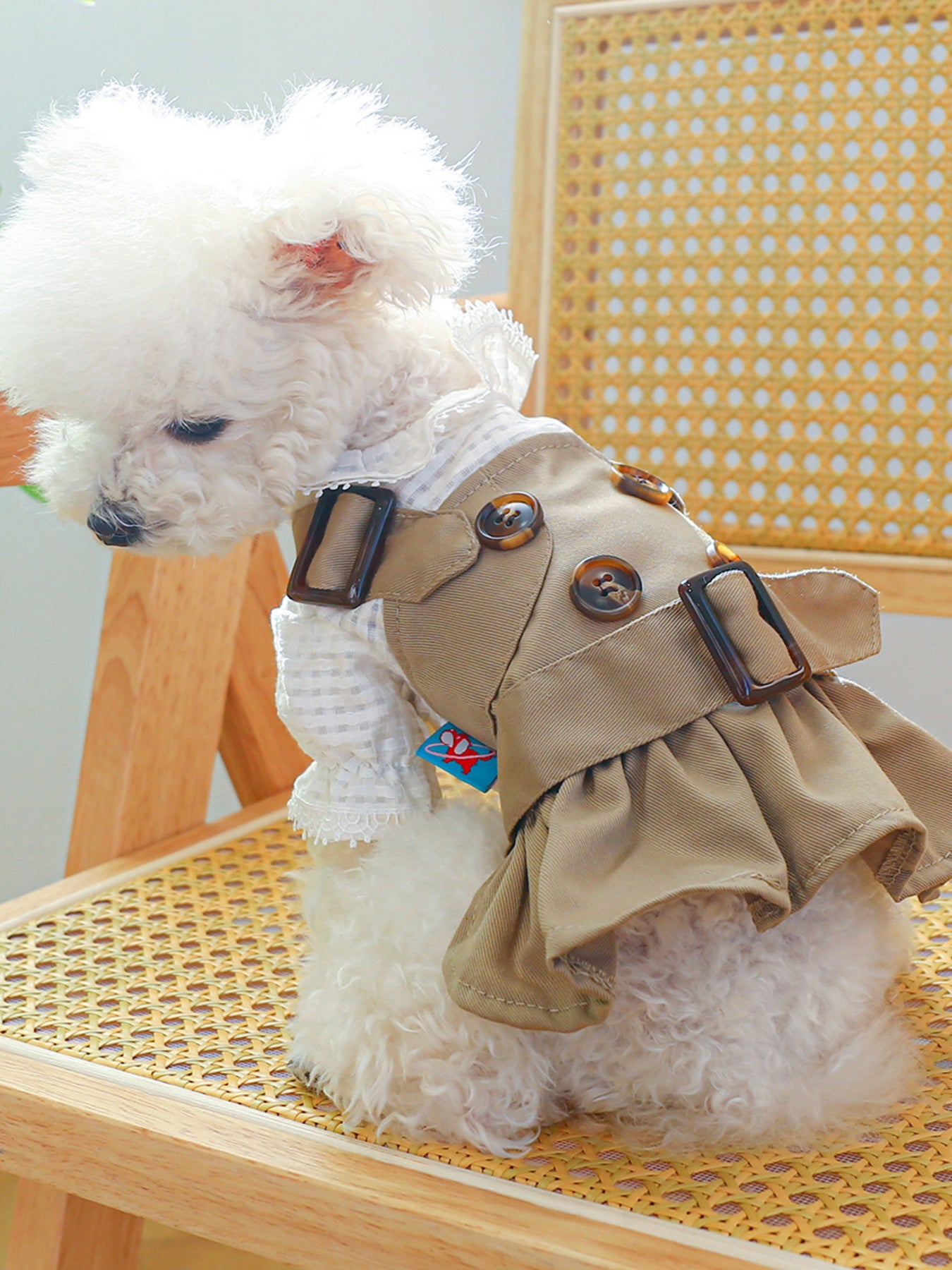 e97e1f59b95144599ce66fac478c26b6-Max