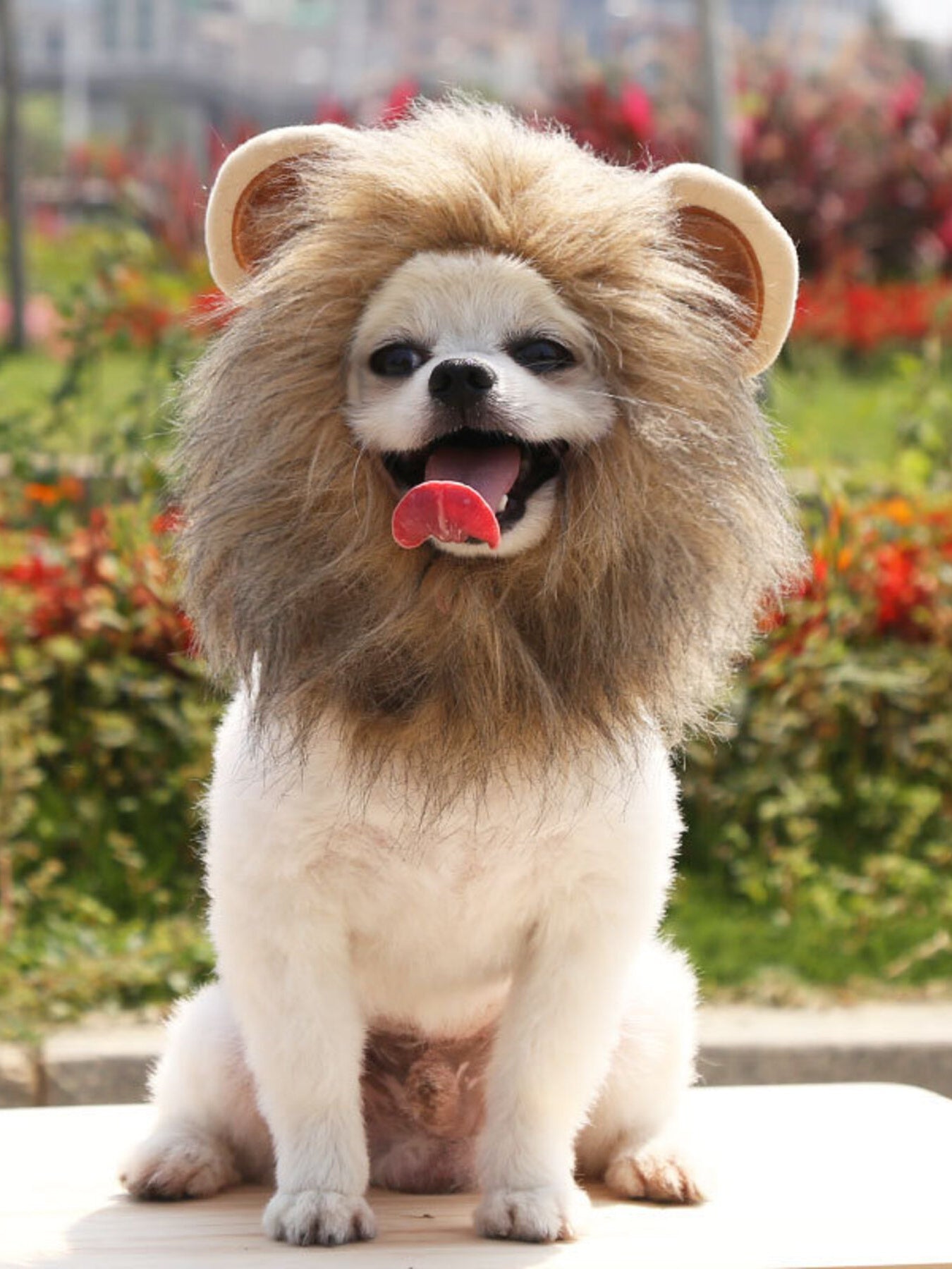 f0b9623a465e43ea8cd04e71c1941c0f-Max