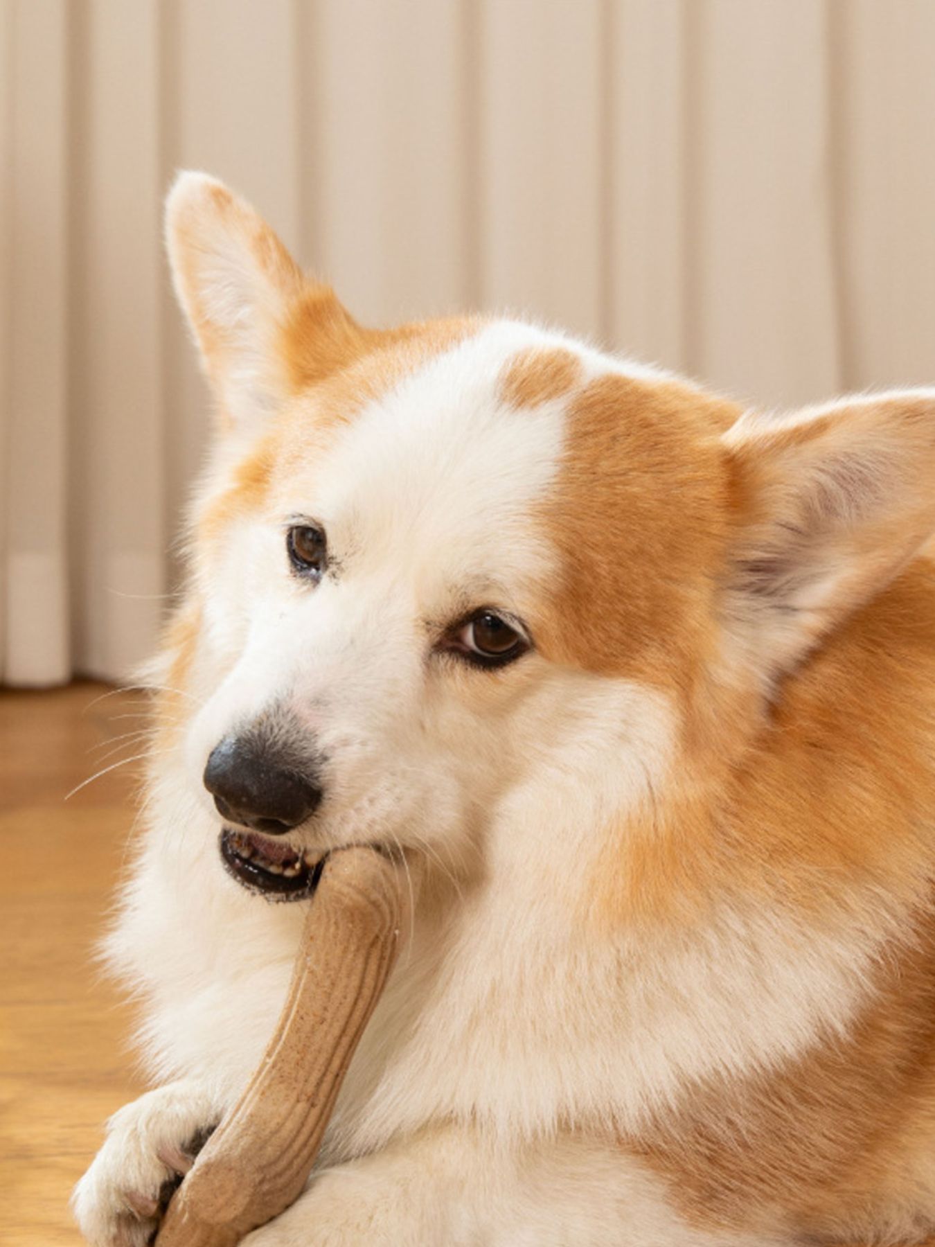 f7bc5482-470a-48f7-9af2-e3b746ee0048-Max