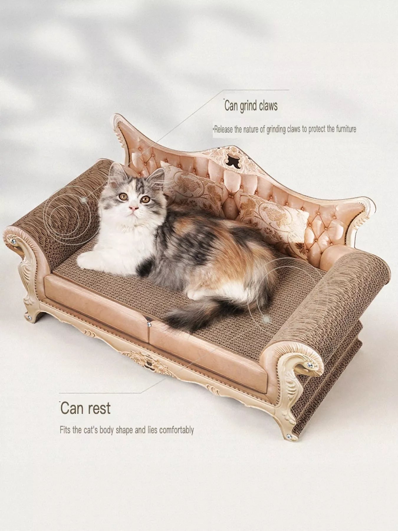 f852ab7c-e3b6-472e-a938-3eeab9780f9e-Max-Origin